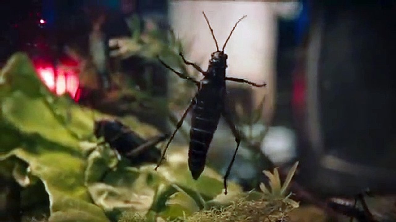 Everything's gonna be okay - se2 - ep05 hd watch