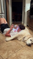 Using a Dog's Paw to Swipe Phone