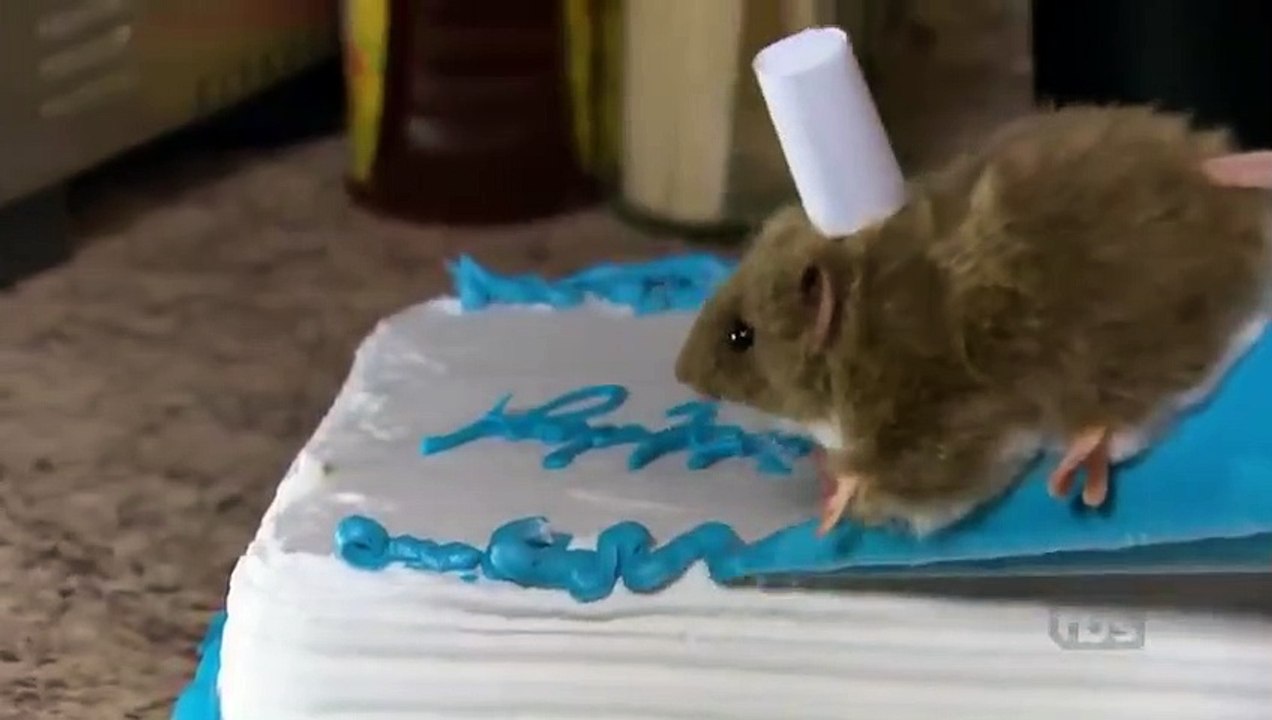 Conan - Se9 - Ep43 - Howie Mandel HD Watch