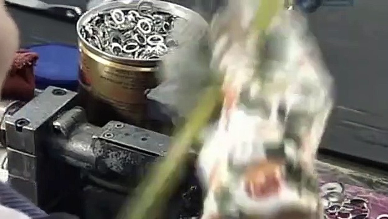 How It's Made - Se8 - Ep02 HD Watch