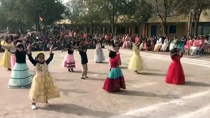 भामाशाहों का किया सम्मान, बालिकाओं ने दी आकर्षक प्रस्तुतियां