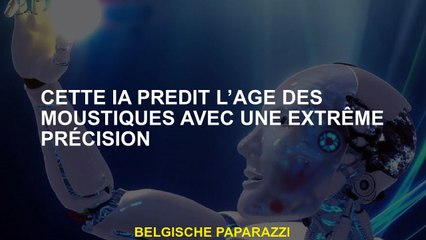 Cette IA prédit l'âge des moustiques avec une extrême précision