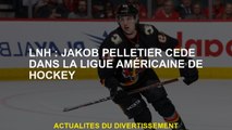 NHL: Jakob Pelletier a vendu dans la Ligue américaine de hockey