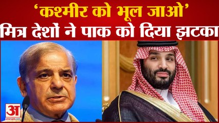 Pakistan's Economic Crisis| मित्र देशों ने पाकिस्तान को दिया झटका, कहा 'कश्‍मीर को भूल जाओ'