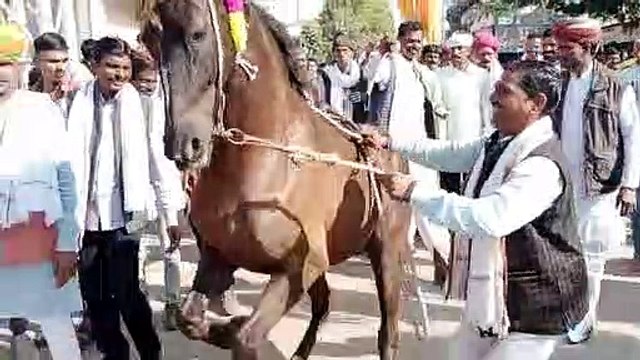 video-भगवान देवनारायण जन्मोत्सव में प्रतिभाओं का किया सम्मान गढ़मोरा में आयोजित हुआ मेला
