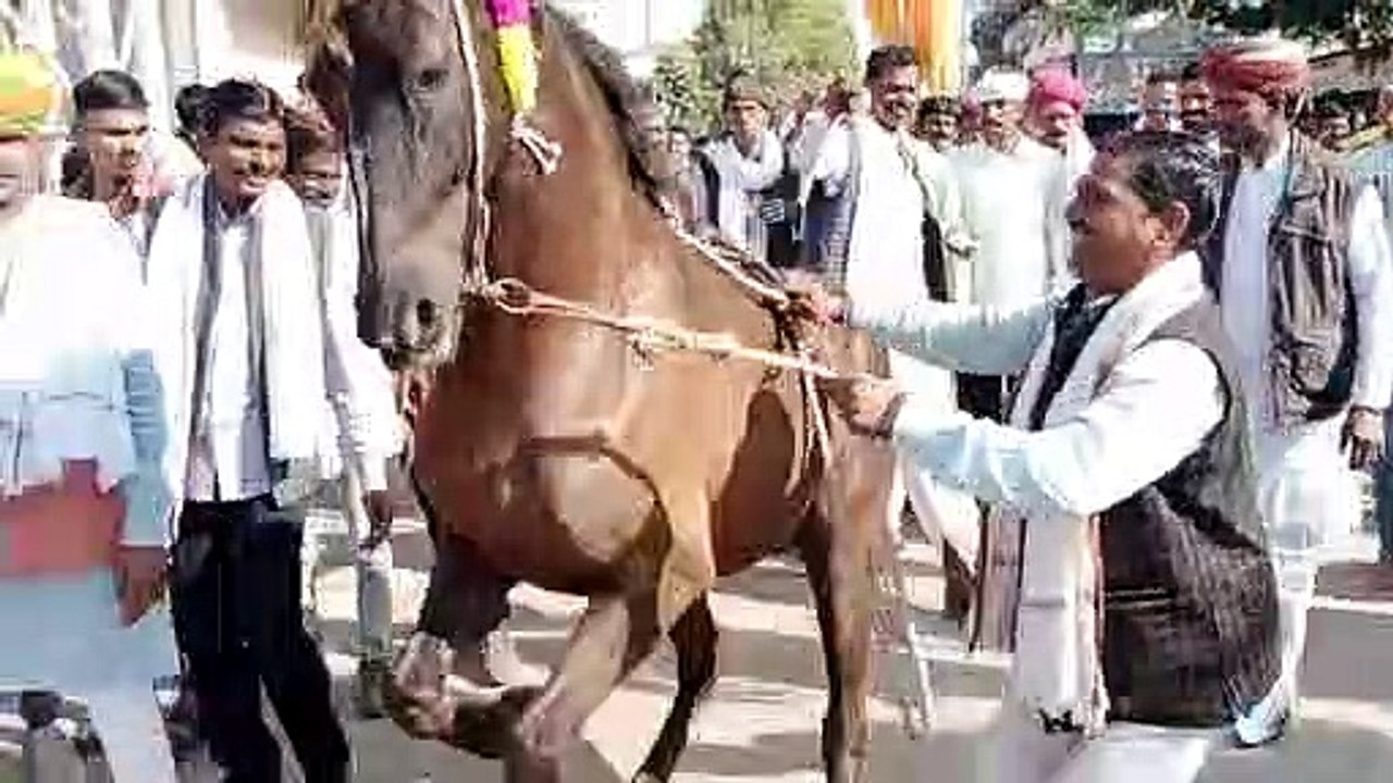 video-भगवान देवनारायण जन्मोत्सव में प्रतिभाओं का किया सम्मान गढ़मोरा में आयोजित हुआ मेला