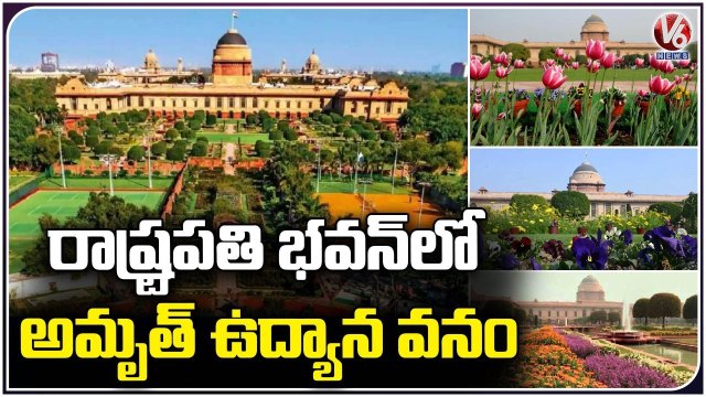 President Droupadi Murmu To Inaugurate Amrit Udyan In Rashtrapati Bhavan _ Delhi _ V6 News