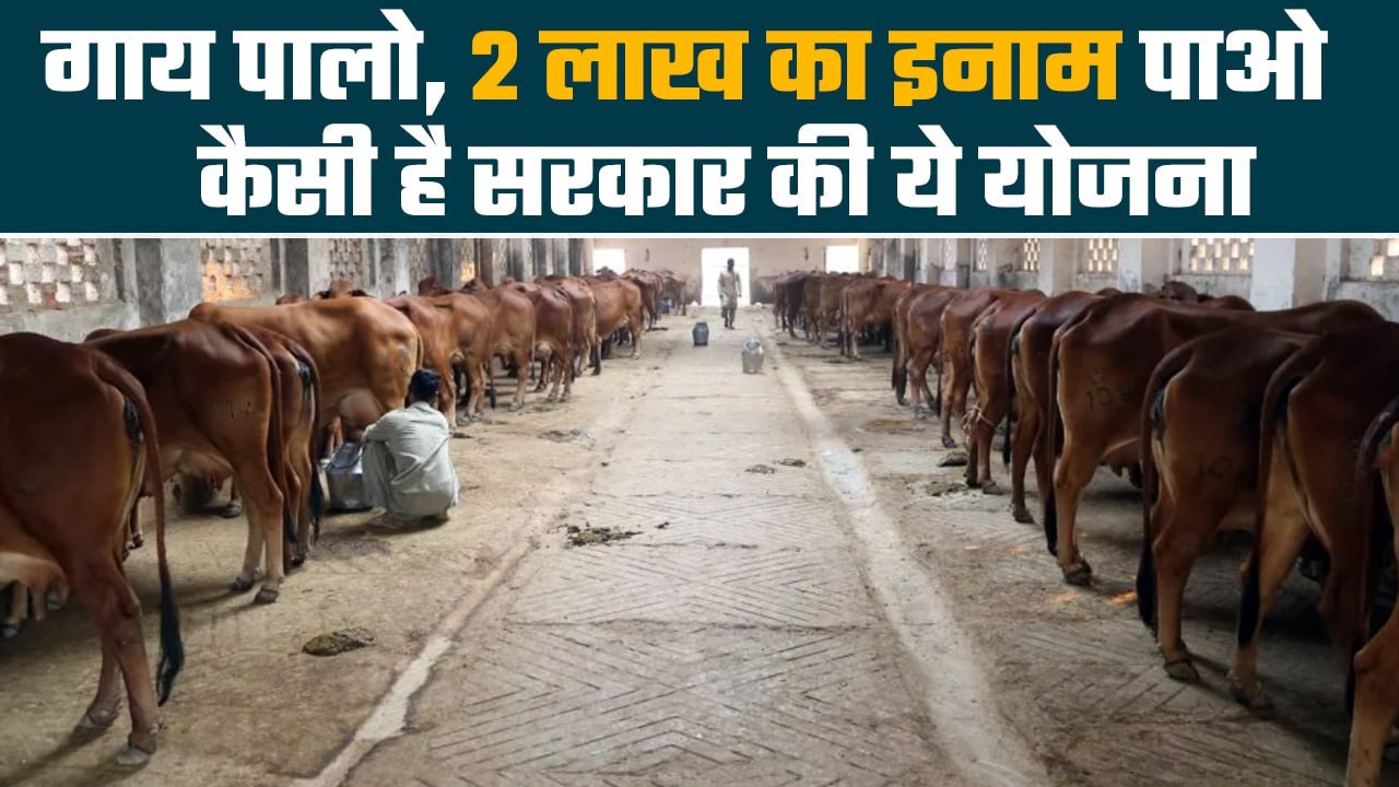 Mukhya Mantri Pashupalan Vikas Yojana क्या है, आप कैसे कमा सकते हैं पैसा | Good Returns