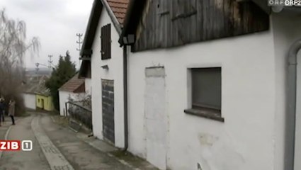 ‘Conspiracy theorist’ arrested over British children found in Austrian wine cellar