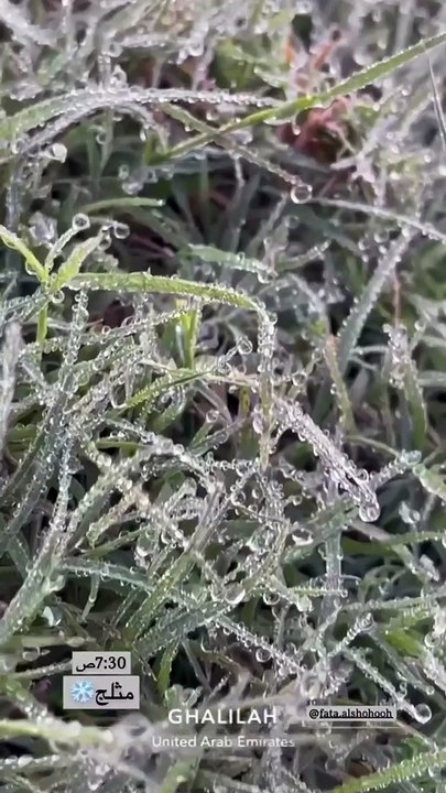Winter in UAE