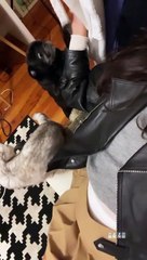 Stories Sofia Ribeiro