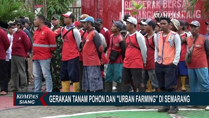 Demi Menjaga Lingkungan, Pemkot Semarang Gelar Urban Farming