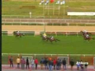 Sabırlı - Çaldıran Koşusu