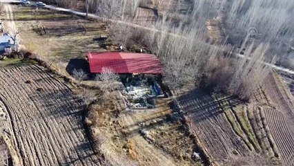 ANADOLU MOZAİĞİ - Konya'daki taban mozaikleri özenle korunuyor (1)