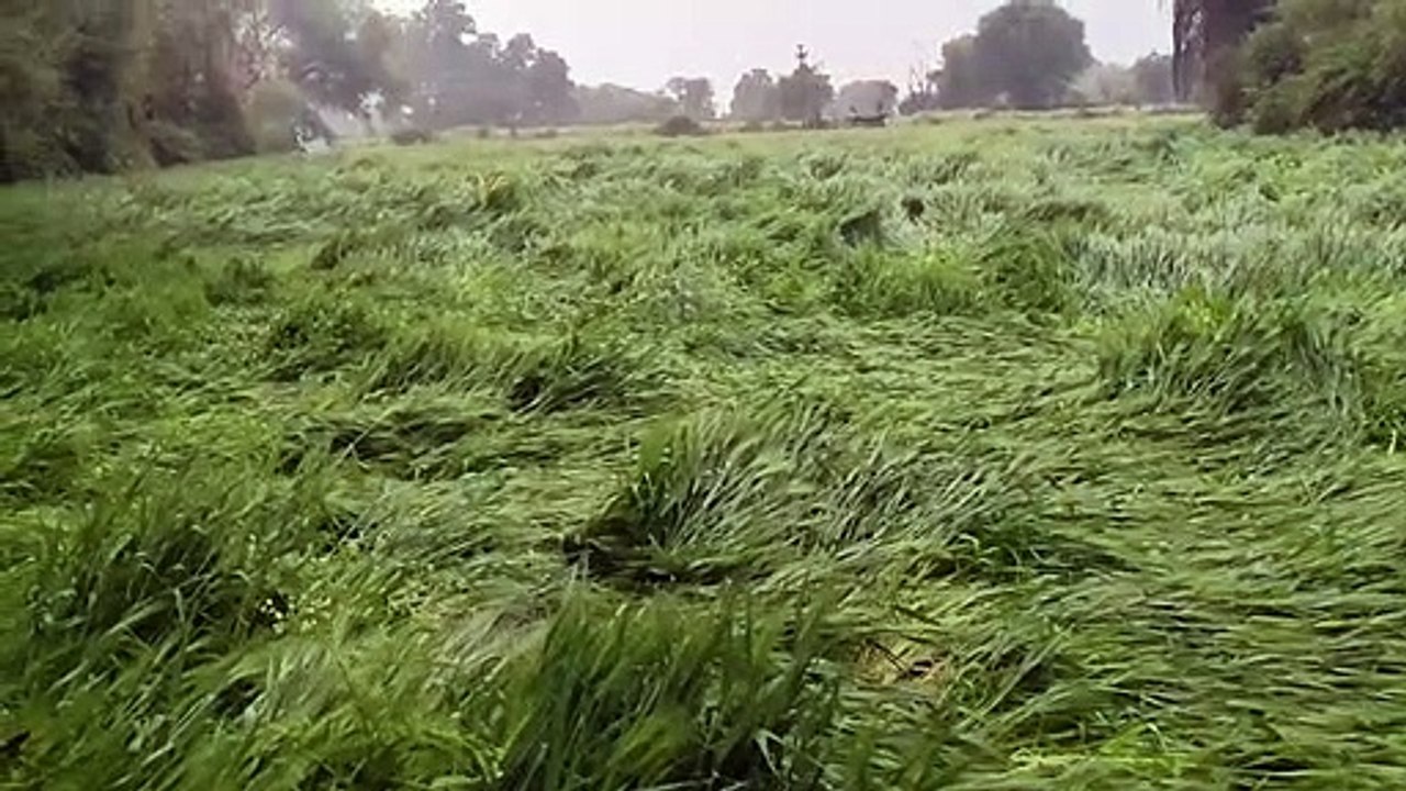 फसल खराबे की सूचना 72 घण्टेगा में देना होगा