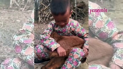 Dünyayı çocuklar yönetsin! Minicik elleriyle kuzuyu ısıtmaya çalışan minik yüzleri gülümsetti