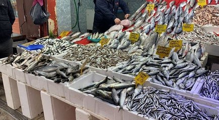 Karadeniz soğudu, tezgahta balık bollaştı