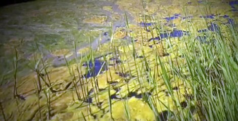 A Lie to Die For S01 E11