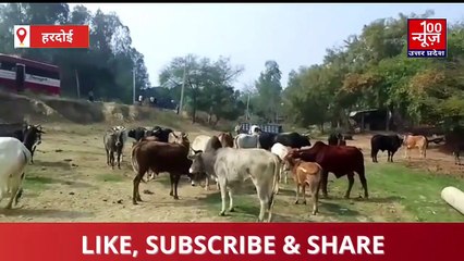 Hardoi news । आज की ताजा खबर