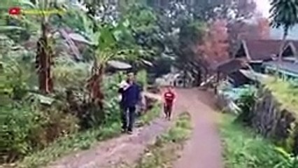 Ketenangan Suasana Saat Pagi Hari Di Desa Bikin Damai  Suasana Pedesaan Jawa Barat Garut Cisompet
