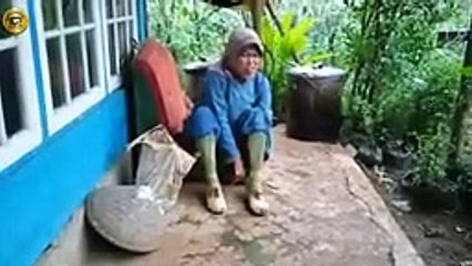 Suasana Tenang Di pagi Hari Damai Ayem Tentram II Kampung Bongas Mekarjaya Campaka
