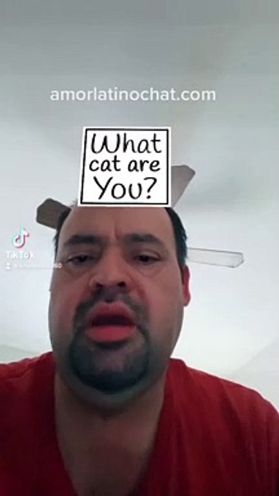 Vamos a ver qué clase de gato soy  what cat are you ?