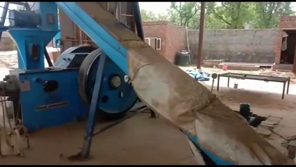 important news : 15 हजार पेड़ों को कटने से बचा सकता है गोबर