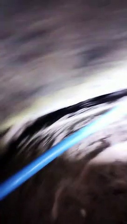 Rescate de Chispa, atrapada entre rocas en un coto de caza de Ávila