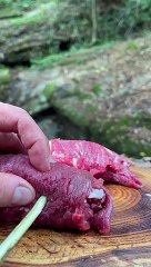 nature  cooking   view