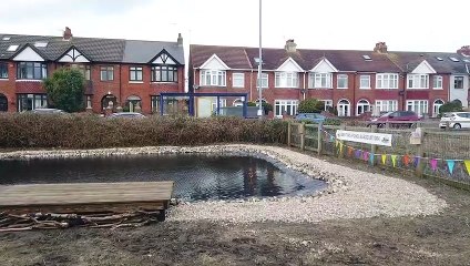 New dipping pond