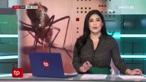 Suben a 33 los casos de dengue en Cochabamba, 23 son importados
