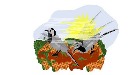 Poésie et oiseaux 5