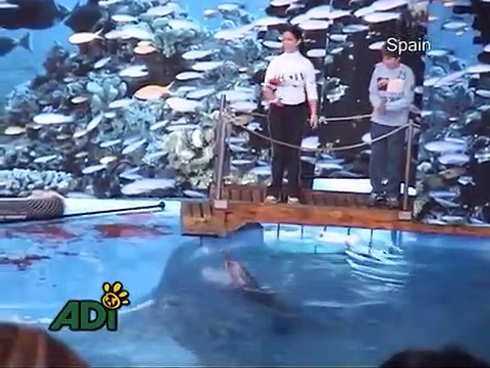 Saving Flipper | movie | 2009 | Official Trailer