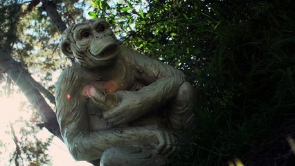 Unlucky Charms | movie | 2013 | Official Trailer