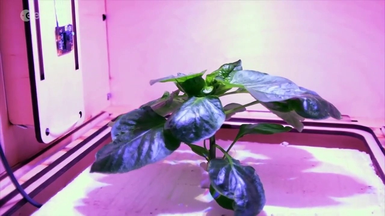Why We Do Experiments In Space