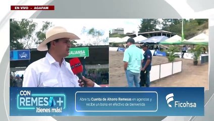 #AGAFAM ¡Todo un éxito la competencia centroamericana de caballos de raza iberoamericano!