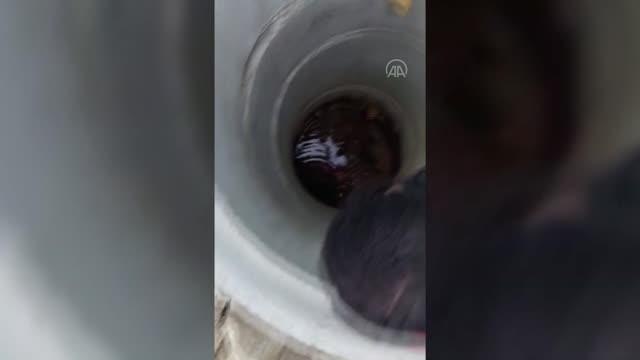 Sakarya'da kuyuya düşen yavru köpeği itfaiye ekipleri kurtardı