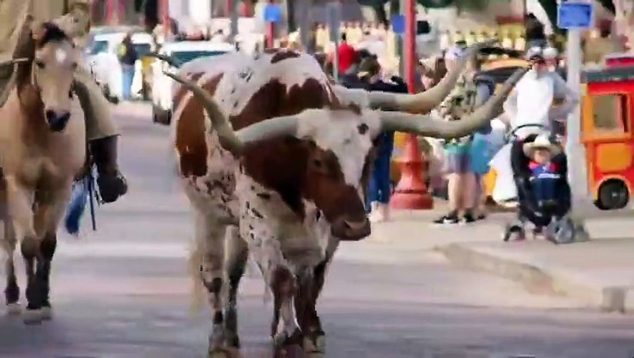 Texas Flip and Move - Se7 - Ep02 - Randy's Big Bed and Breakfast HD Watch