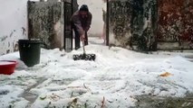 Video: Snow cover spread in Udaipur, crops destroyed