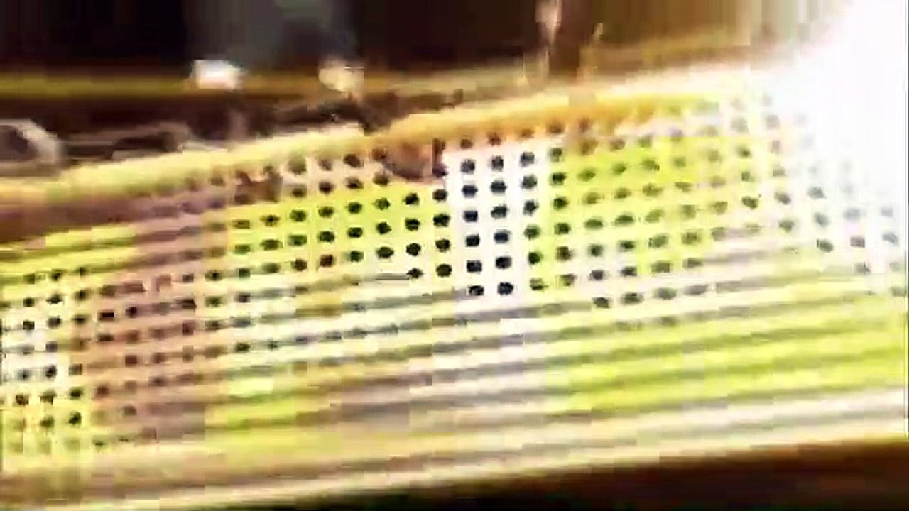 Celebrity Name Game - Se2 - Ep11 HD Watch