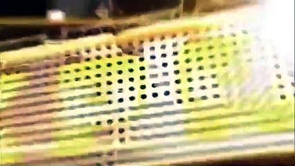 Celebrity Name Game - Se2 - Ep18 HD Watch