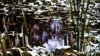 Swamp Thing - Se3 - Ep33 HD Watch