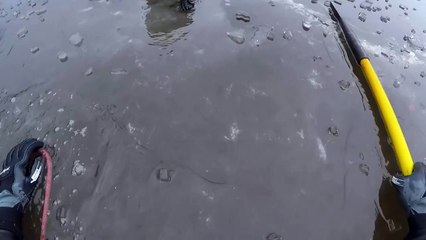 Freeze! 45 Poor Animals Almost Di.e From Freezing Caught On Camera