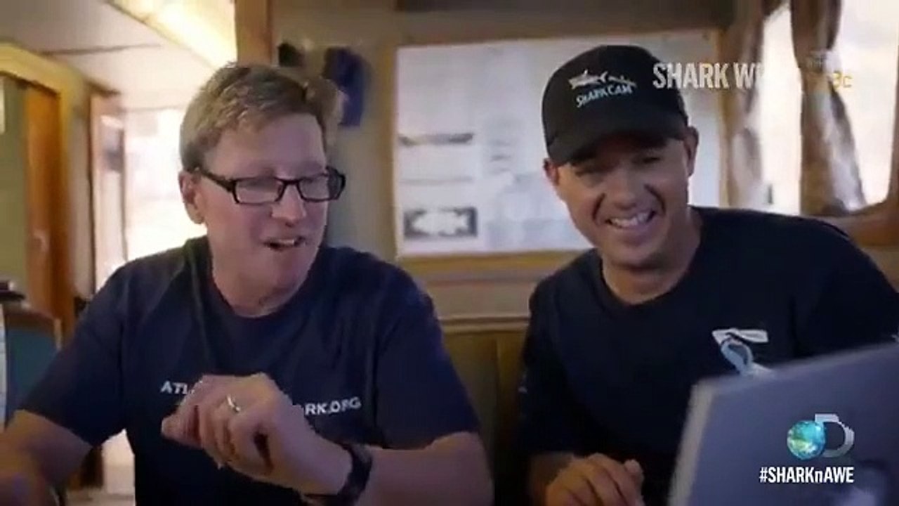 Shark Week - Se29 - Ep05 HD Watch
