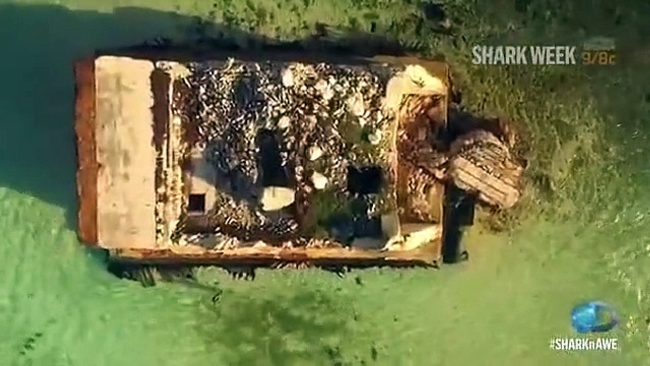 Shark Week - Se29 - Ep11 HD Watch