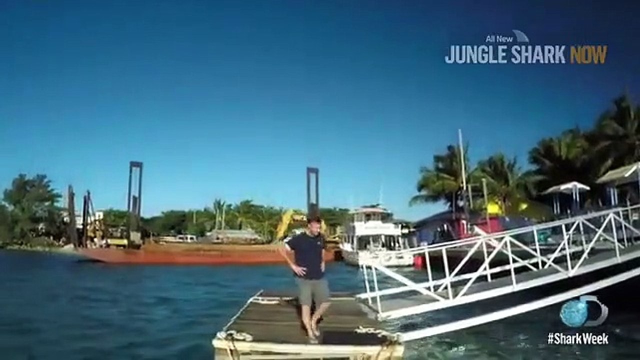 Shark Week - Se29 - Ep12 HD Watch