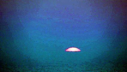 Sun Rise