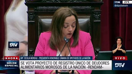 Download Video: Diputados aprobó crear un Registro de Deudores Alimentarios y el alivio en Ganancias para los ingresos de médicos cuando superen cuatro guardias mensuales