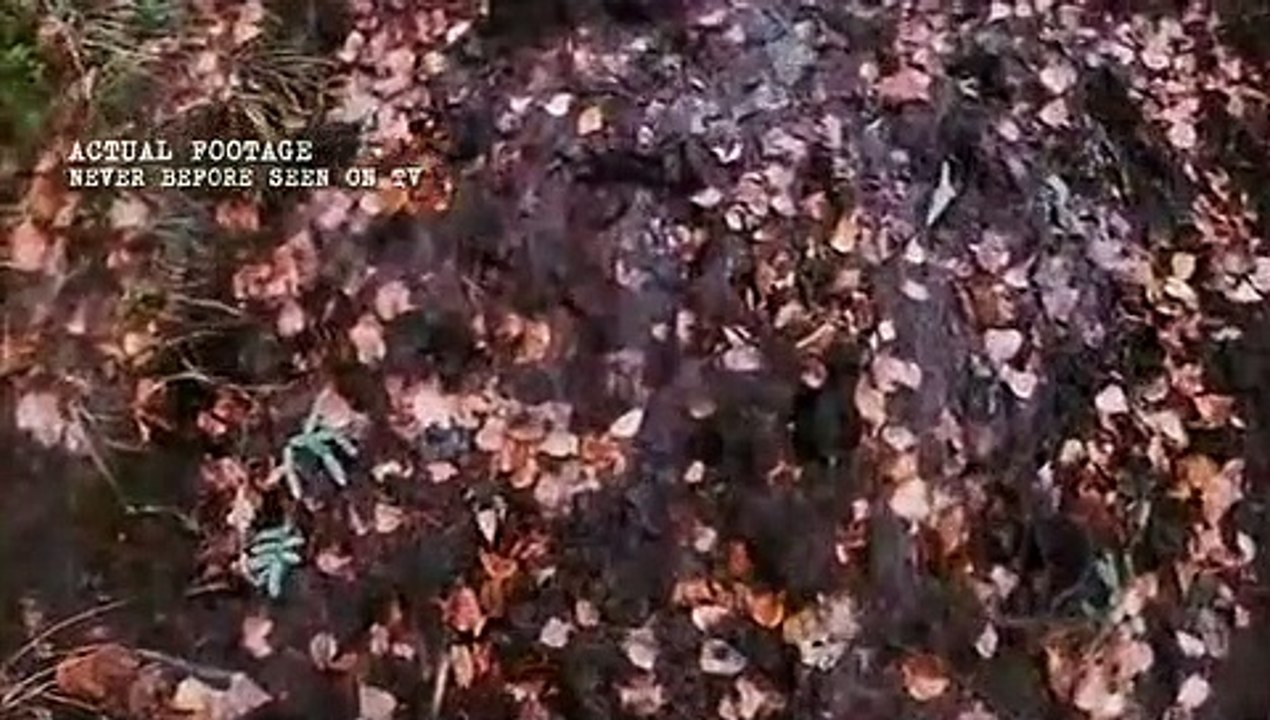 The Alaska Triangle - Se2 - Ep08 Aggressive Bigfoot and Haunted Hotel HD Watch