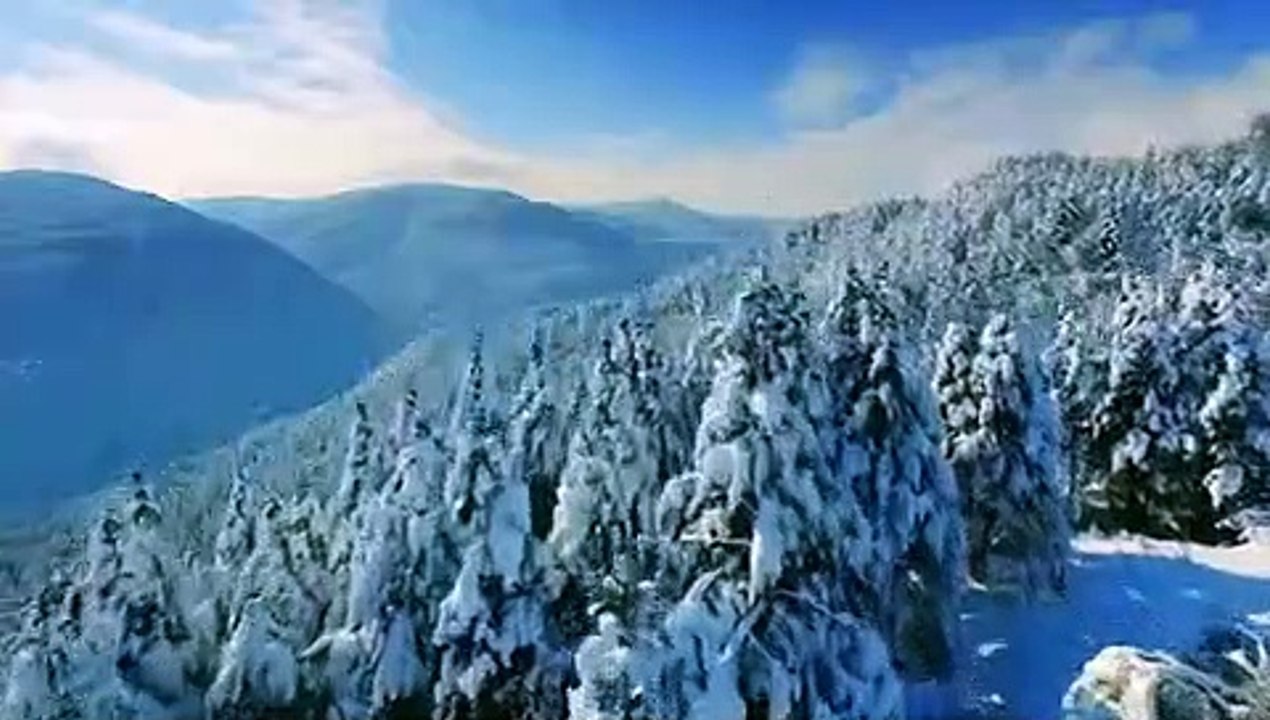 The Alaska Triangle - Se2 - Ep09 The Mysteries of Ketchikan and The Wendigo HD Watch